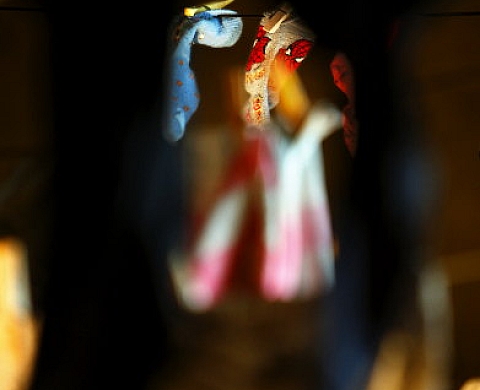 Pinces et Linges + Hespérides