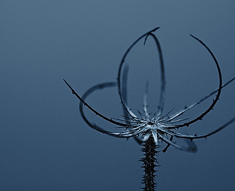 Lost Worlds - Olivier Ramonteu