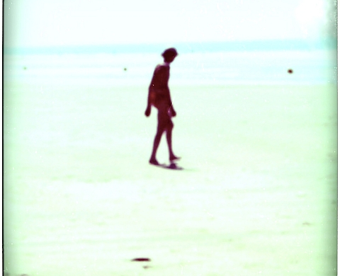 La Noyade - Stéphanie Aigret