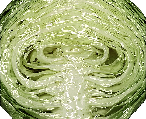 Intérieurs - Dimitri Tolstoï