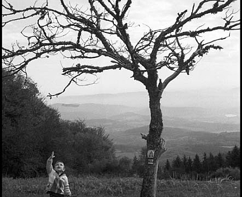 Justice et Justesse - Laurent Jeannin