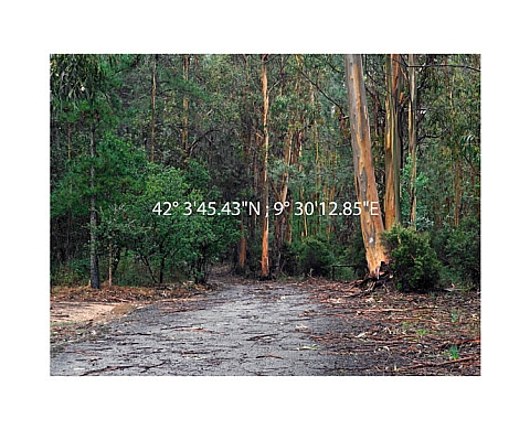 NYPH 10 Main Exhibitions : Bodies In Question, curated by Fred Ritchin, Alexandre Maubert