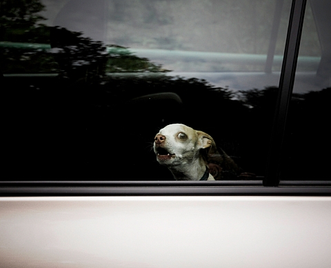 Amaury da Cunha - Après tout