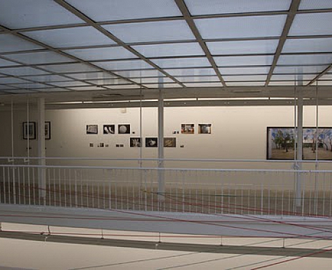 Anne Immelé - Time and Motion Study 