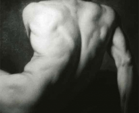 Gaëtan Viaris de Lesegno - Corps révélés, corps dévoilés