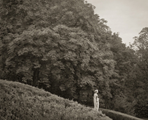 Beth Dow - Palladium 