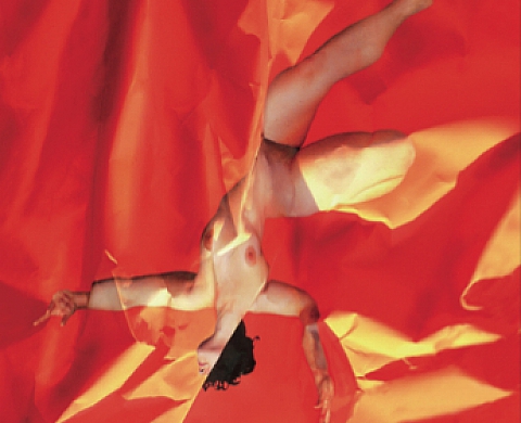 Claudia Vialaret - Prendre le Pli