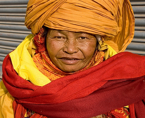 Yann Rollo van de Vyver - Women of the World