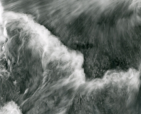 Geneviève Roy - La Nature Est à L'Oeuvre