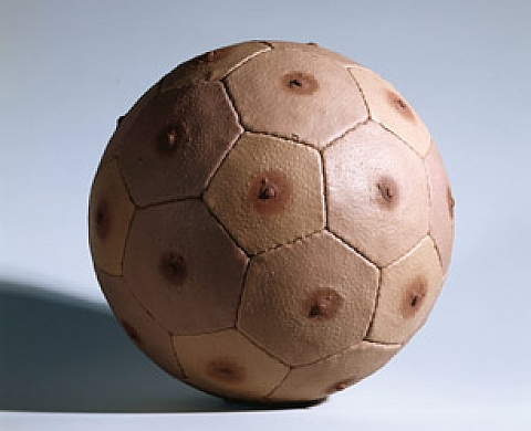 Daros Latinamerica Collection - Nicola Costantino