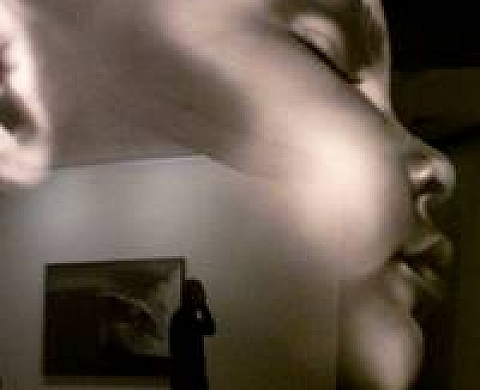 Portraits et Reflets du Collectif Photon