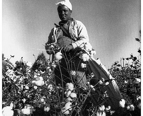 Desvergnes Alain à L'imagerie