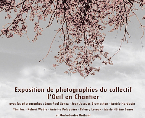 Collectif Photographique l'Oeil en Chantier - L'Art Prend l'Air