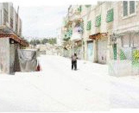 Alexis Cordesse - Prix Arcimboldo 2011