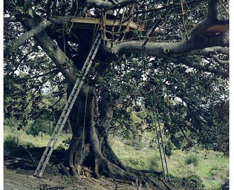 Yto Barrada - Deutsche Guggenheim & Venice