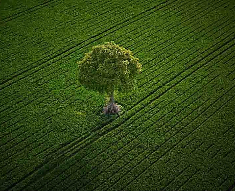 Intime Campagne - Denis Bourges et Rodolphe Marics