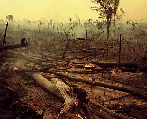 4 Regards sur le Feu - Hans Silvester, Alain Gualina, JF Mutzig, Laurent Gayte