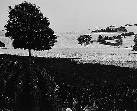 Donatien Rousseau - Un parcours à travers le Tarn