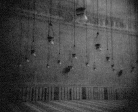 Flore - Une Femme Française en Orient