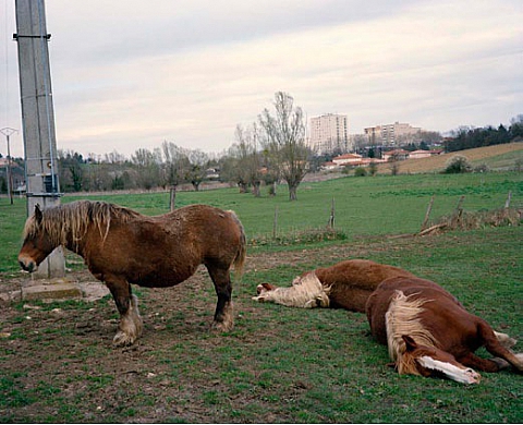 Là-bas - Francis Morandini