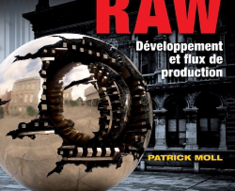 Le Format RAW - Patrick Moll - Editions Dunod