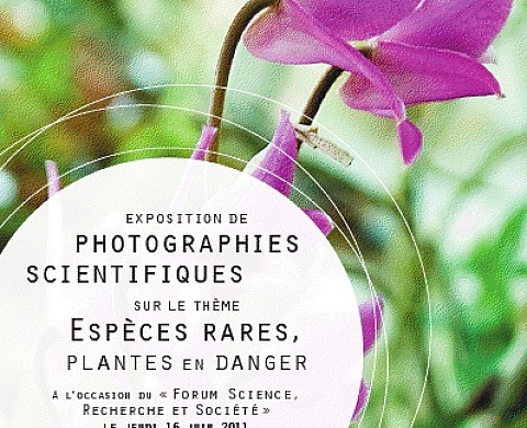 1ère Exposition de photographies scientifiques - Le règne du végétal et sa perception.