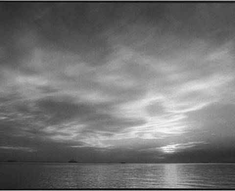 Marc Mangin - Triptyques Marc Mangin - Triptyques