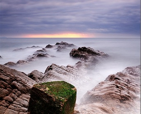 les pieds dans l'eau - Michel Lecocq 