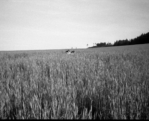 Alain Keler - Parias, les Roms en Europe, MYOP in Arles, au 18 rue Calade