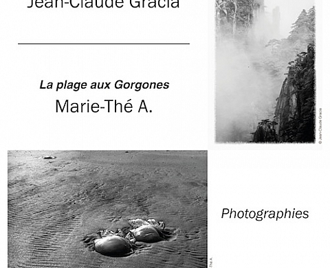 Marie-The A. et Jean-Claude Gracia - Huang Shan, l'élan vertical et La plage aux Gorgones, à l'espace Manufacture