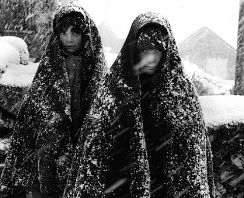 Georges Dussaud - Intuitions Photographiques à la galerie Net Plus