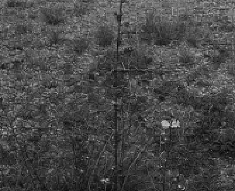 Pierre-Olivier Arnaud - Cosmos 2, au Centre d'Arts Plastiques de Saint-Fons