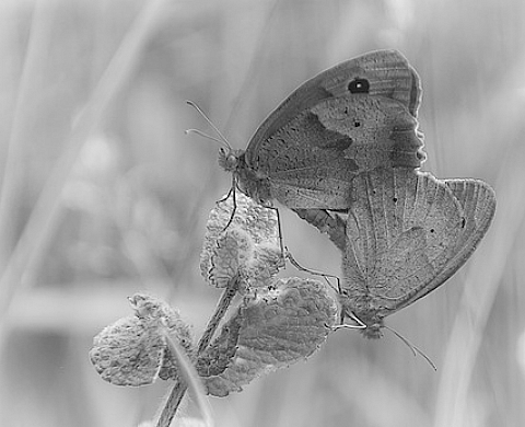 8ème Expo Photo à Quetigny en Côte d'Or