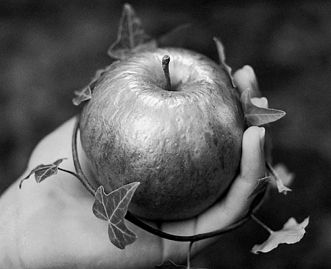 Marie Blin - Le jardin d'Eden, à la Galerie Blin plus Blin