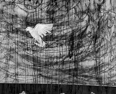 Roger Ballen - Asylum, dans le cadre du Mois de la Photo à Montréal