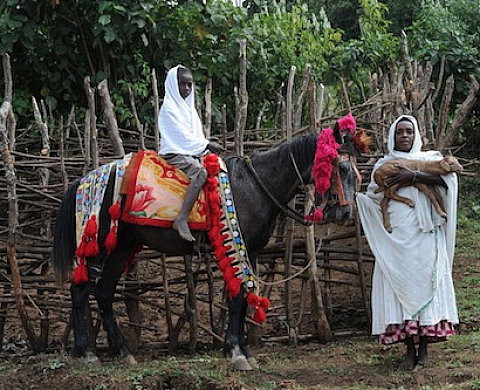 Alain Laurioux - Les chevaux d'Abyssinie, à l'Institut français du cheval et de l'équitation, dans le cadre des Journées européennes du patrimoine Alain Laurioux - Les chevaux d'Abyssinie, à l'Institut français du cheval et de l'équitation, dans le cadre des Journées européennes du patrimoine