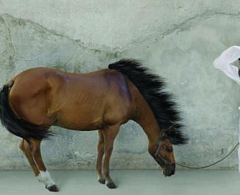 Yang Yongliang - The Peach Colony, M18 Gallery