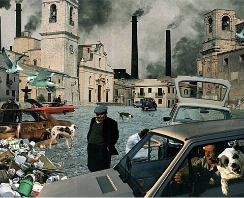 Luuk Wilmering - Une Histoire Naturelle, à l'Institut Néerlandais