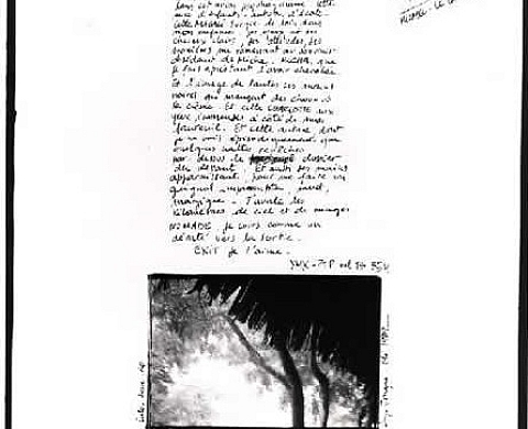 Serge Emmanuel Jongué - Nomade, à la galerie Simon Blais