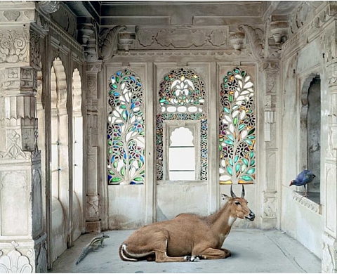 Les mises en scène oniriques de Karen Knorr à la galerie les Filles du Calvaire
