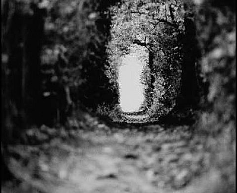 Robert Wable - Chemins Possibles, à Nantes