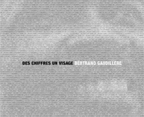 Bertrand Gaudillière - Des Chiffres, un Visage Bertrand Gaudillière - Des Chiffres, un Visage