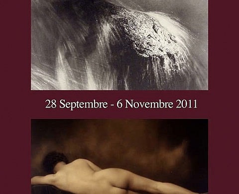 Eaux & Nus à la galerie 291 ; une exposition qui porte bien son nom