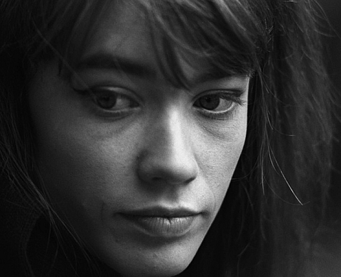 Jean-Marie Périer et les milles facettes de l'icône Françoise Hardy