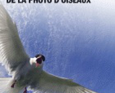 Le guide tout terrain de la photo d'oiseaux