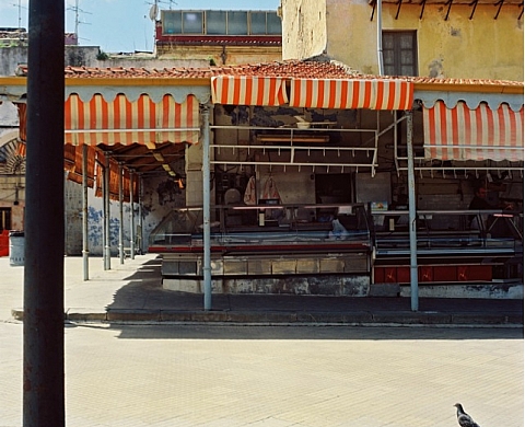 L'errance de Jean-André Bertozzi, una causa democratica