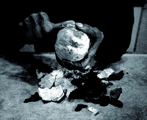 Sept photographes explorent le quotidien à l'espace Beaurepaire