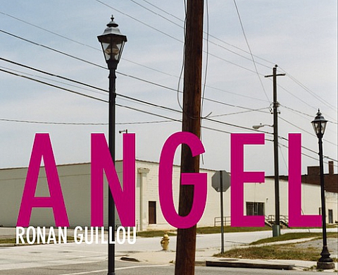 Signature et exposition en l'honneur de l'oeuvre de Ronan Guillou