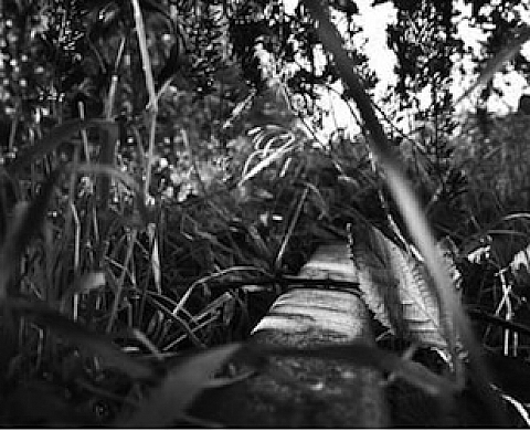 Rencontre entre un photographe et un écrivain dans le Nord Pas-de-Calais