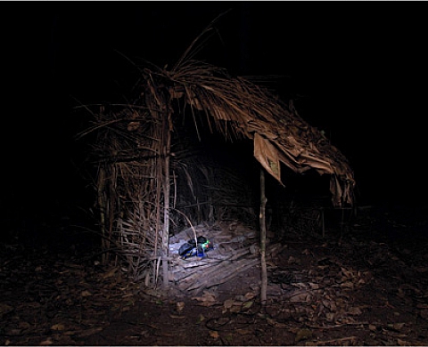 Le ravissement des loups - Victoria Klotz